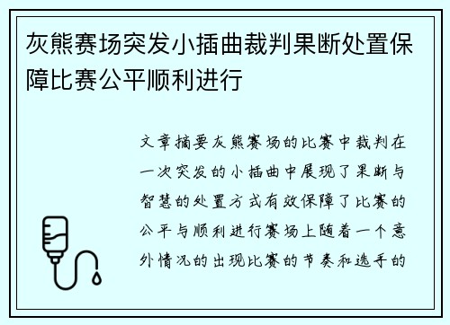 灰熊赛场突发小插曲裁判果断处置保障比赛公平顺利进行